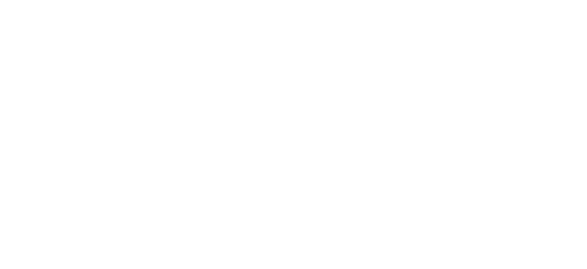 logo intermarché